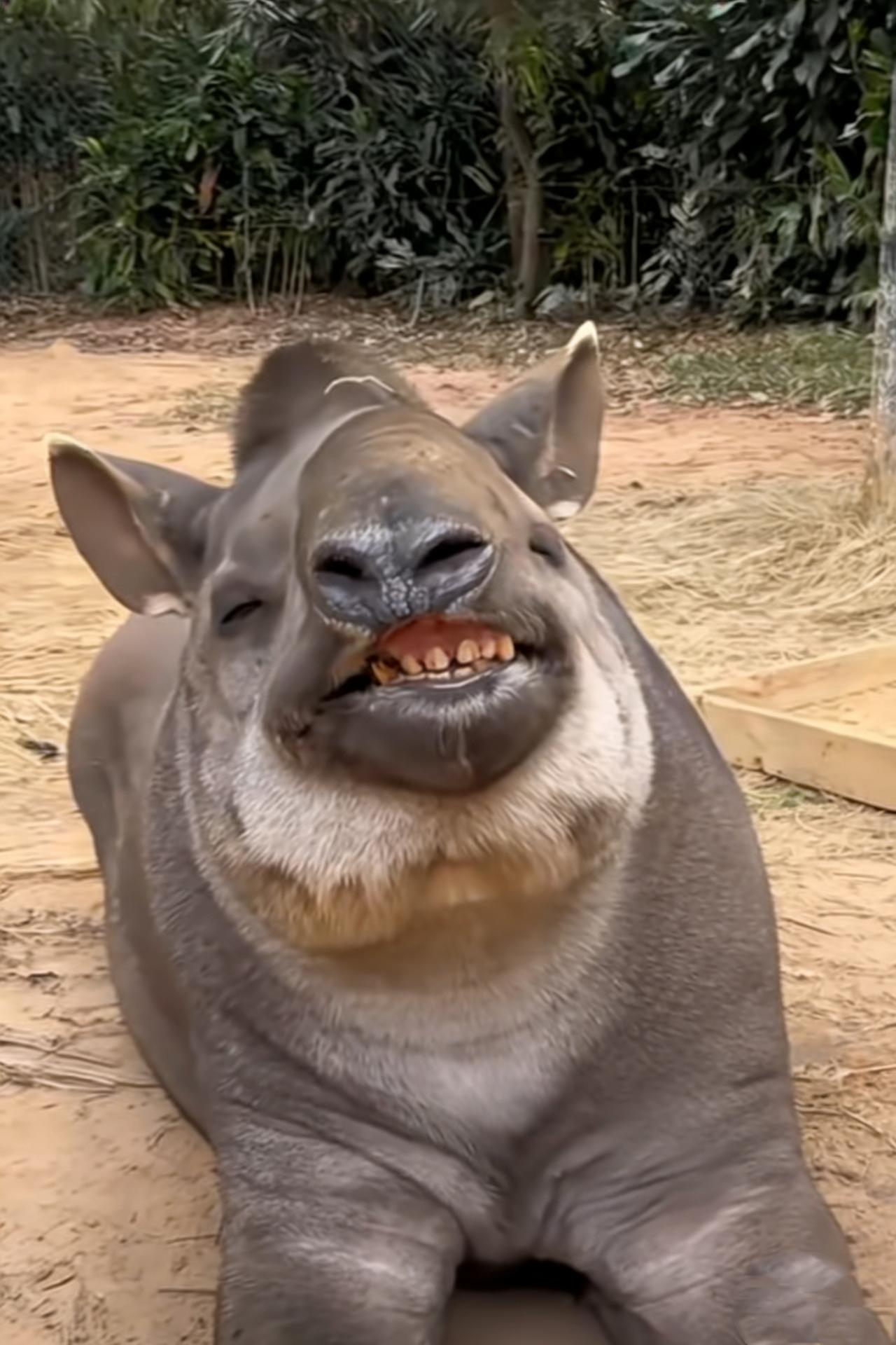 还有三天就可以上班赚钱了，挺开心的！我最喜欢上班赚钱了，因为以下几个原因:
 1