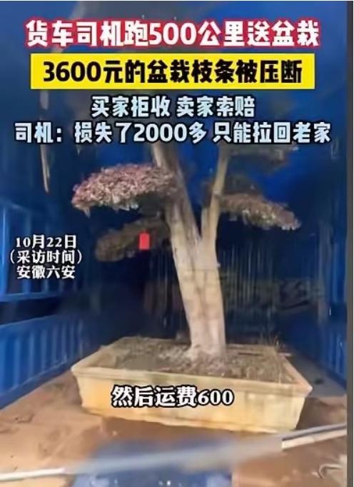 辛苦运货，反倒赔2000！司机的遭遇太委屈！

事情经过是，安徽六安的冯师傅接了