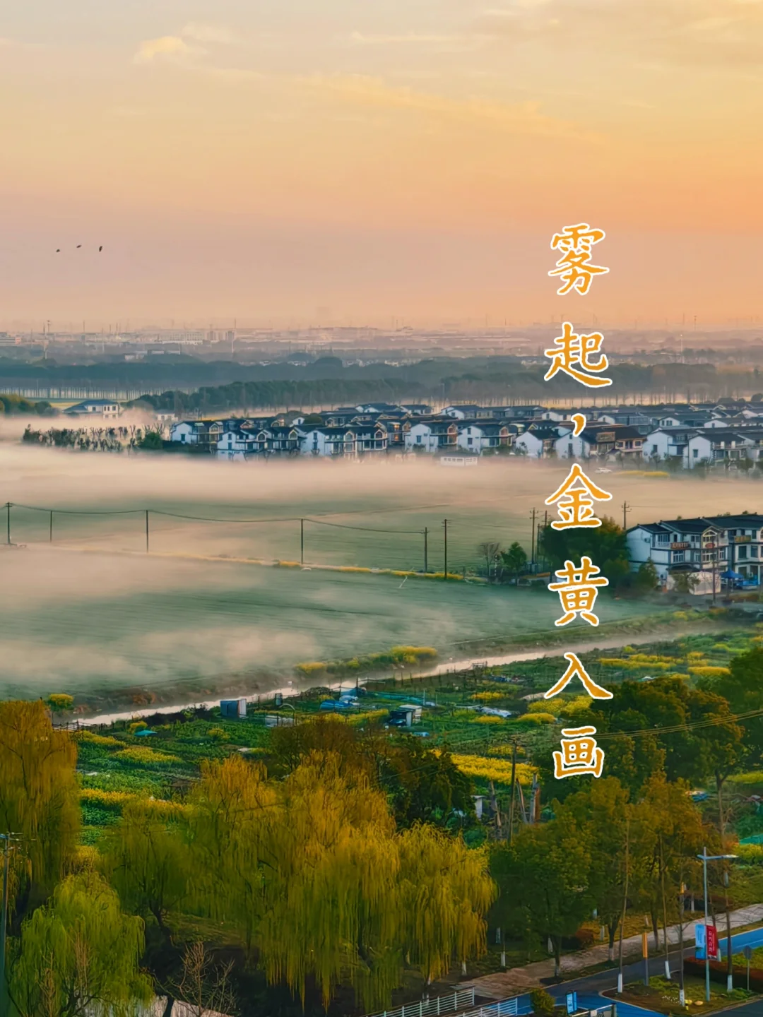 雾里看花|是春天最浪漫的朦胧诗