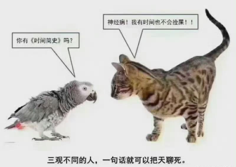 不在一个频道上，这天没法聊。