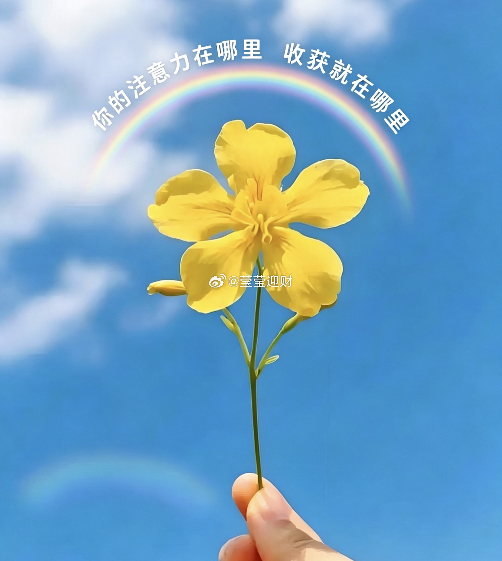 避险升温，纳指美股在涨，大餠子慢涨上行，这就是上周暴跌之后的空头回补，慢涨再次测