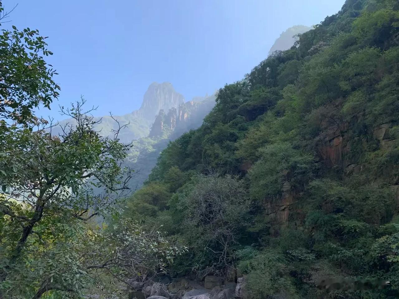 秋风乍起，萧瑟的风声让人心生凄凉，但亦带着一种深沉的宁静和思索的意味。