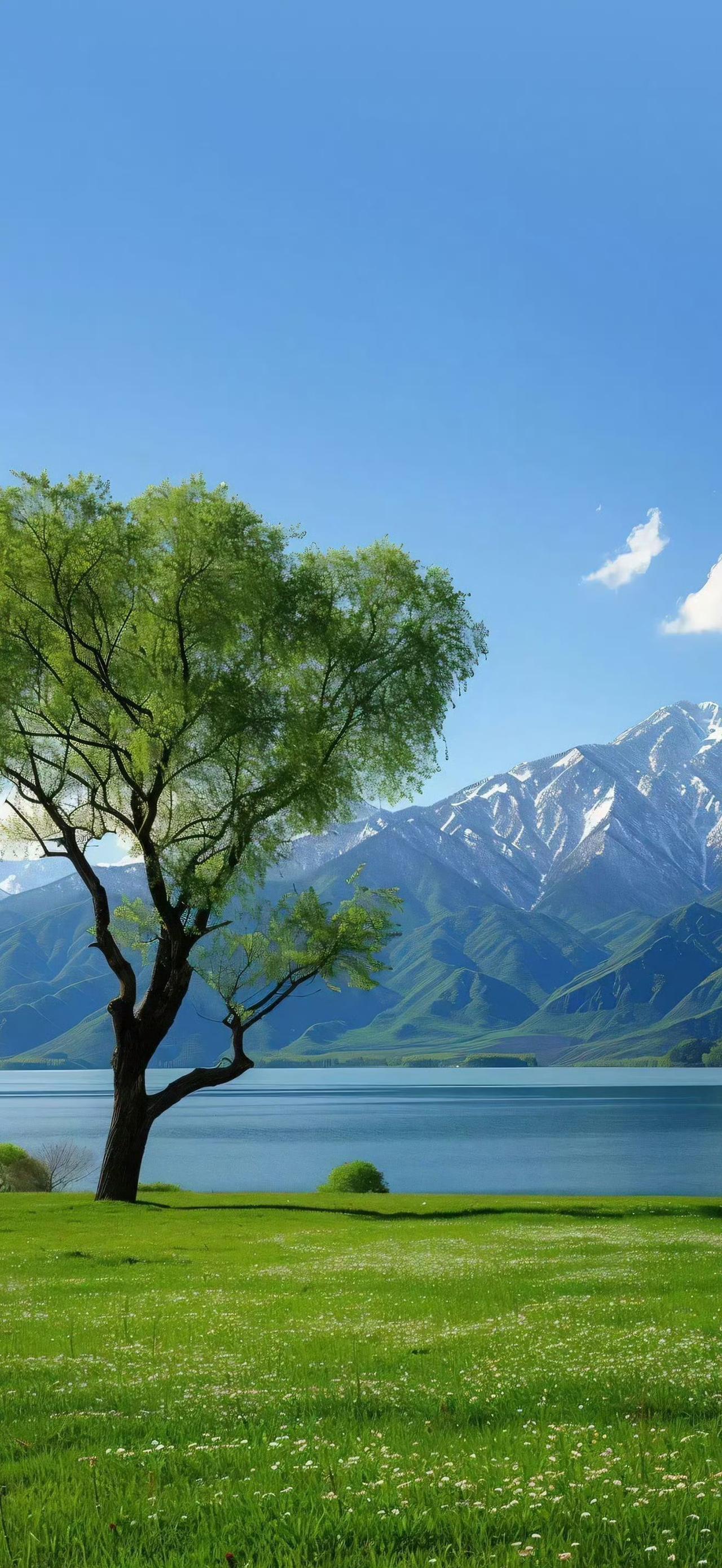 是日常，
是烟火，
是生动的小生活🤗