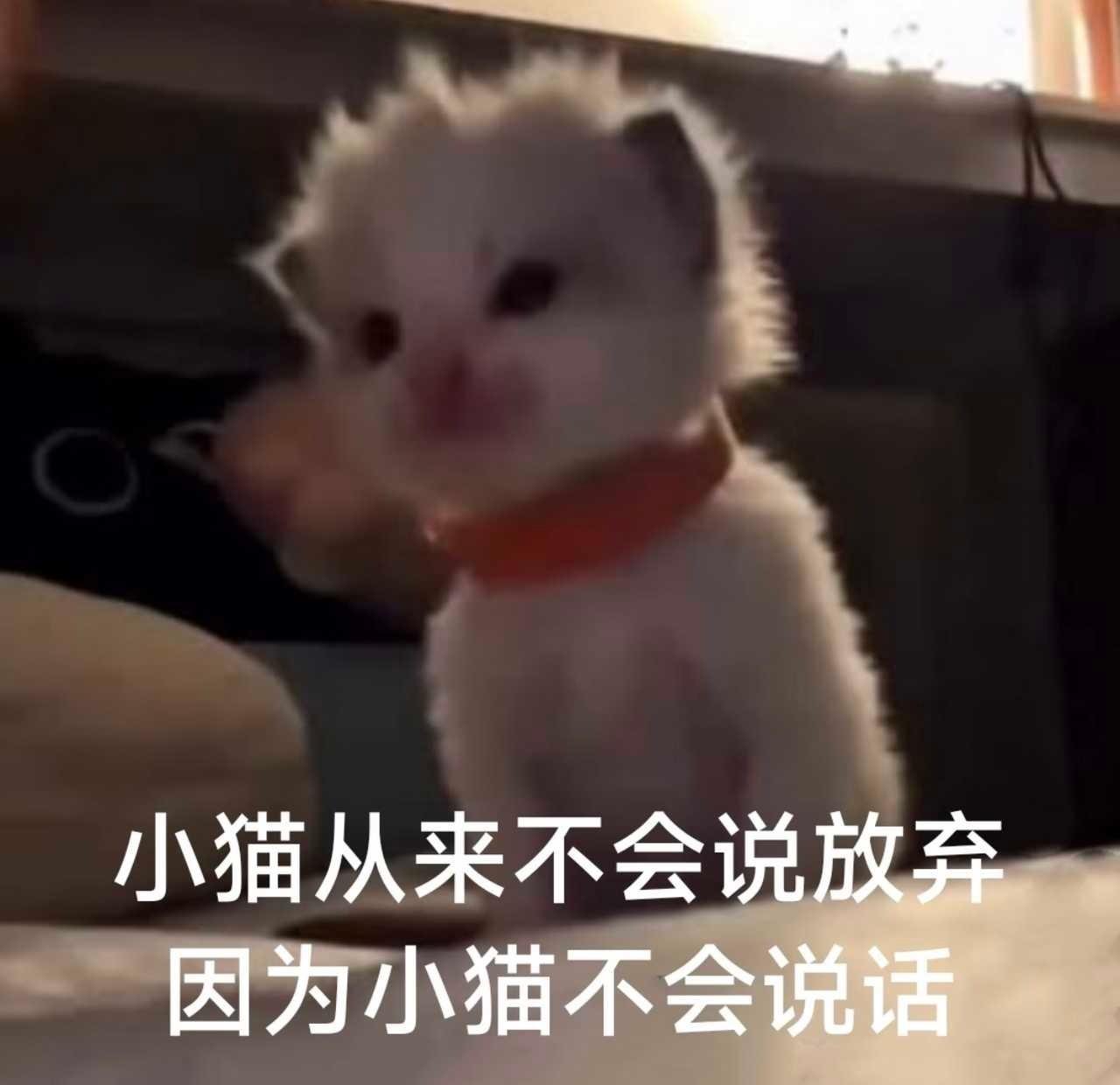 cv倒霉死勒超话 
一句话归纳总结最近的锻炼成果：
“虽然没瘦下去，但也没白练，