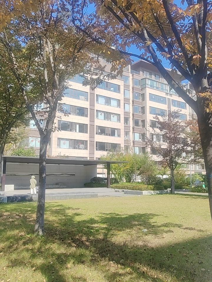 秋日落叶，一拍一景。