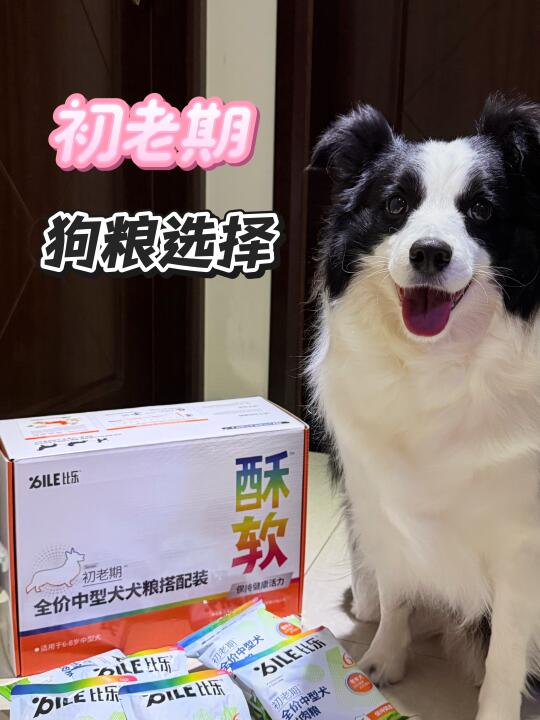 你好👋 这是一份属于初老期小狗的菜单
