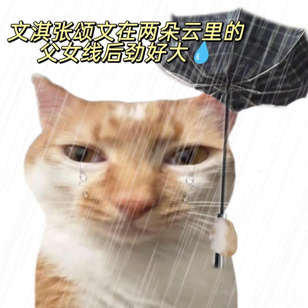 文淇张颂文两朵云父女线后劲好大 救命，刀我别用亲情刀！文淇和张颂文的父女线看得我
