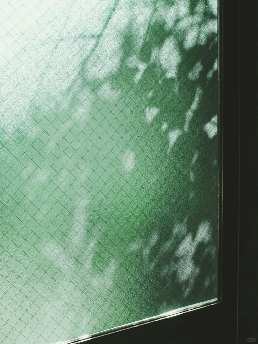 理光 GR3｜窗外是蝉鸣不止的夏天