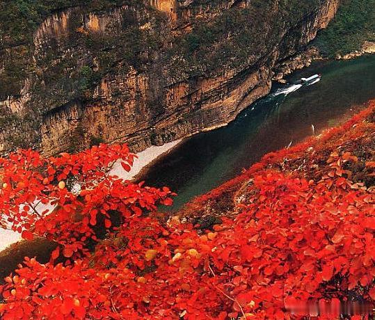 【龙门峡】龙门峡谷呈“V”字形地貌，山高水深，峭壁深壑，雄奇险峻，涧谷纵横。这里