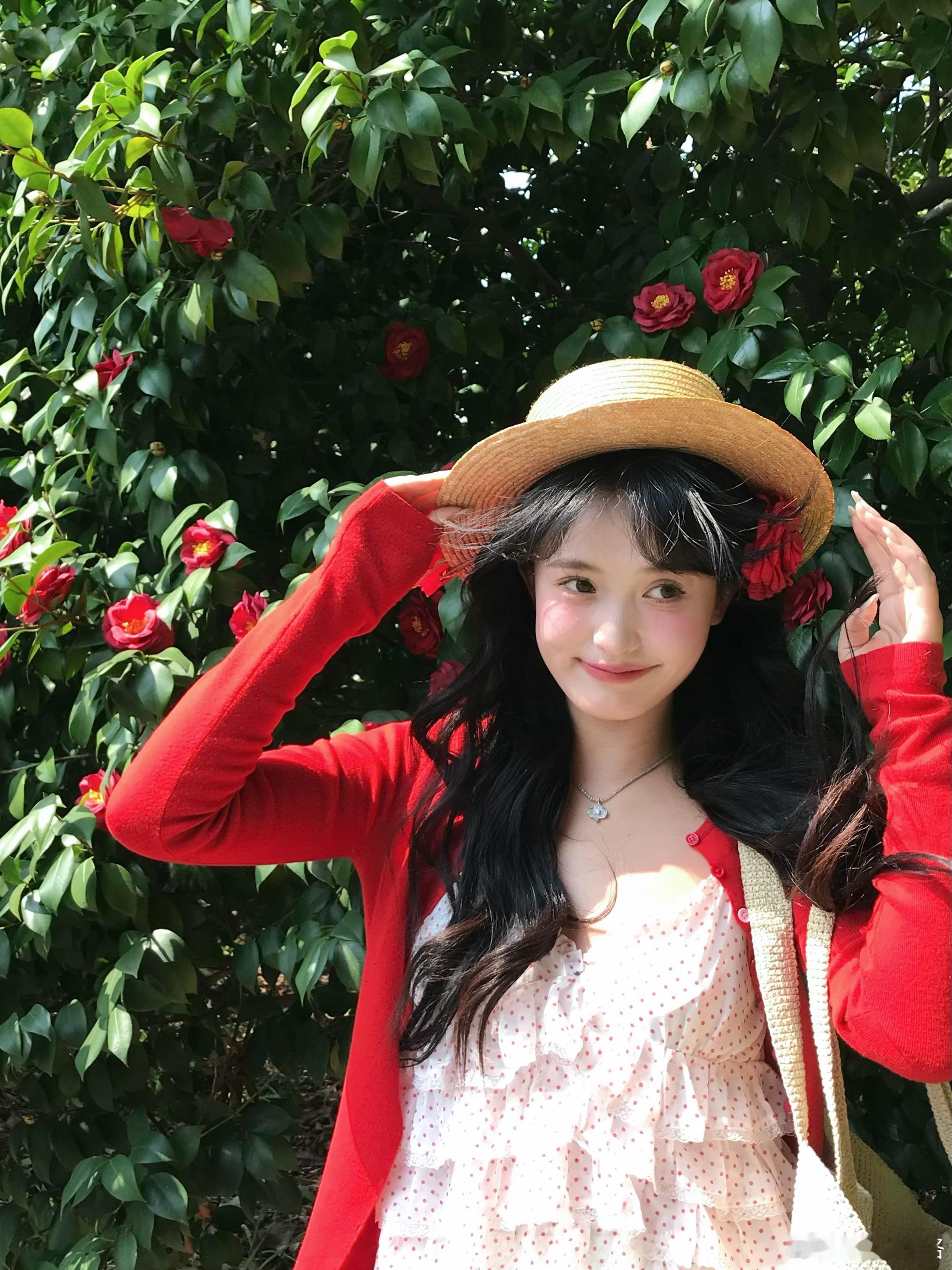 山茶花开🌼 