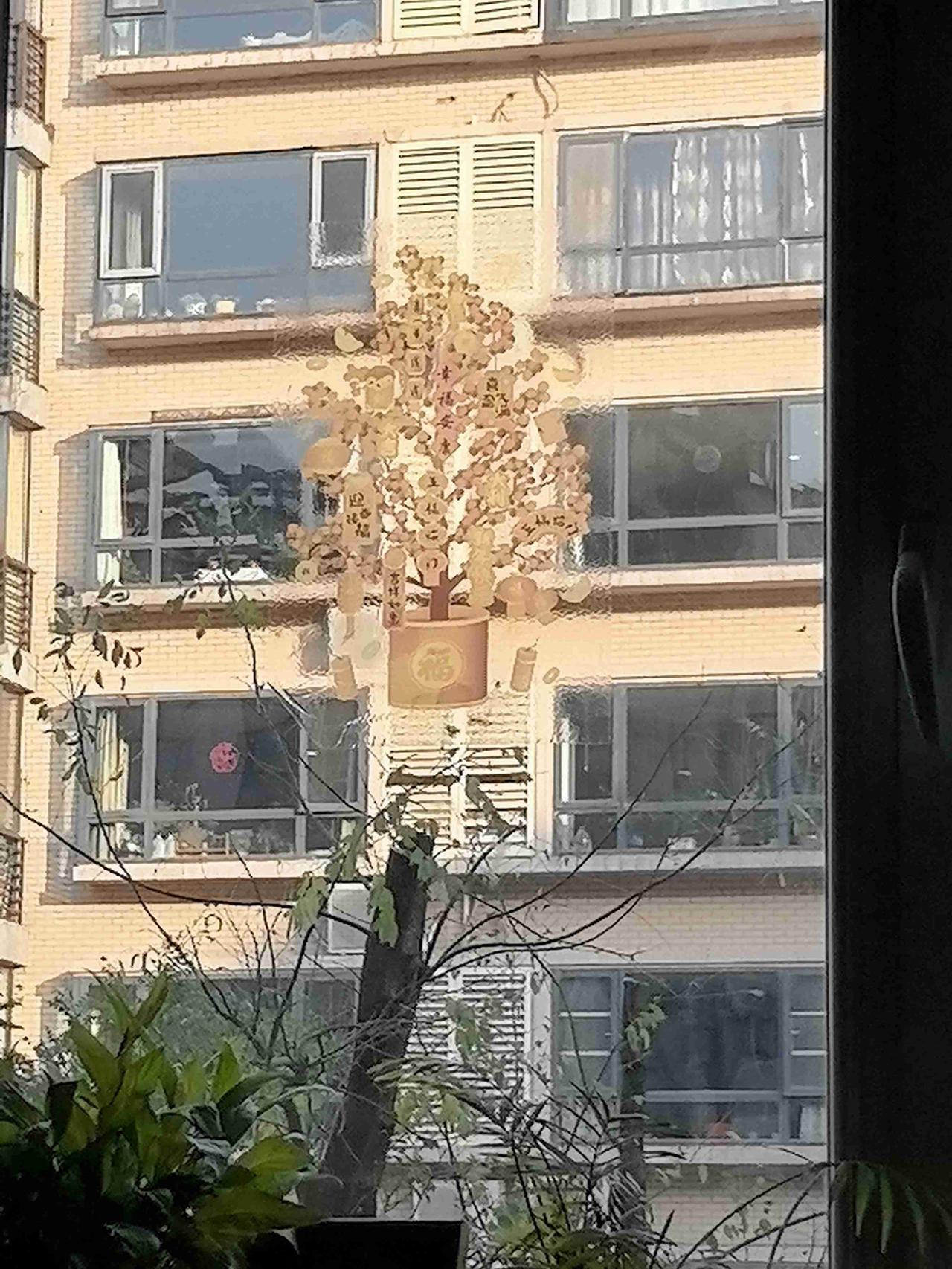 我的今日状态：🏝️旅行度假
我这里的天气：☀️晴天