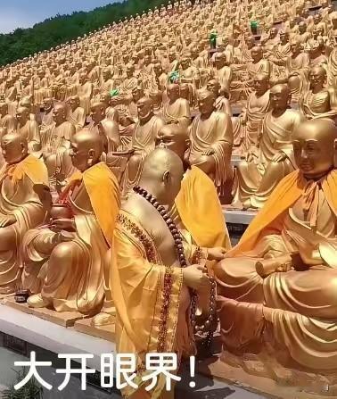 这阵仗，是罗汉批发大市场吧？整座山坡都坐满了“金身罗汉天团”，一眼望不到头，规格