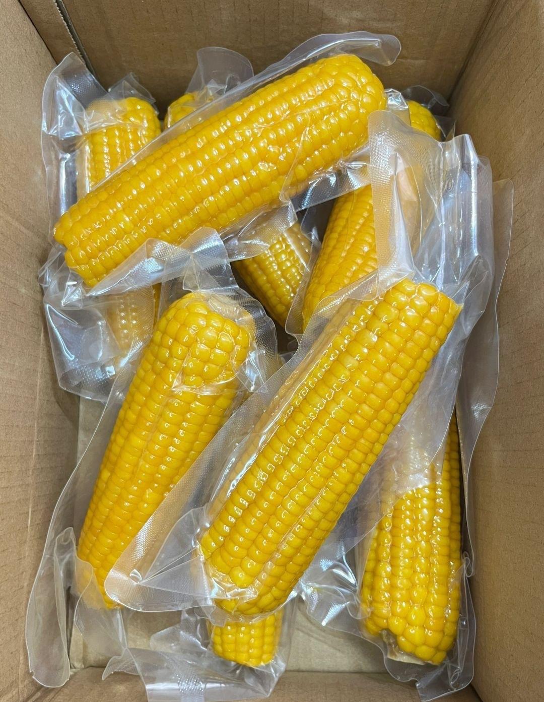 27岁孟羽童捐设奖学金：这才是年轻人该有的“高配”人生

27岁的孟羽童，给浙江