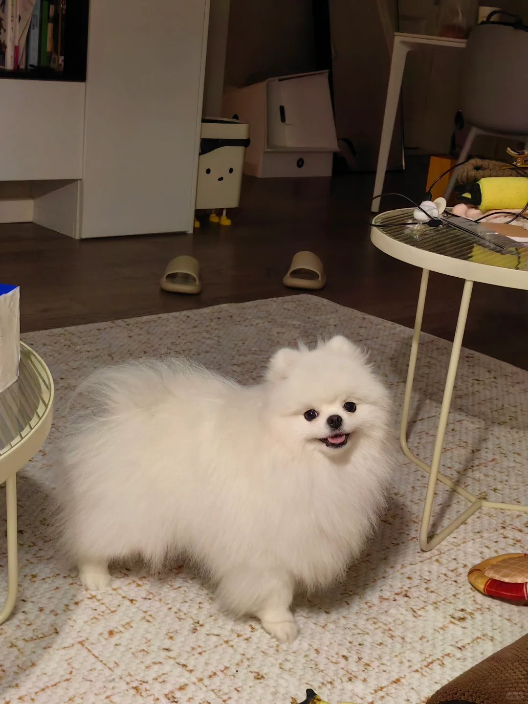 居家必备抱枕