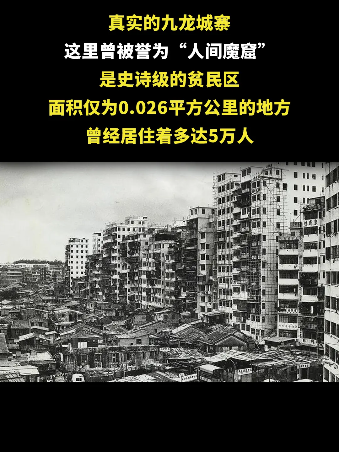 真实的九龙城寨！。50年代黑帮已经掌握了整座城寨的控制权 城寨中的各种...