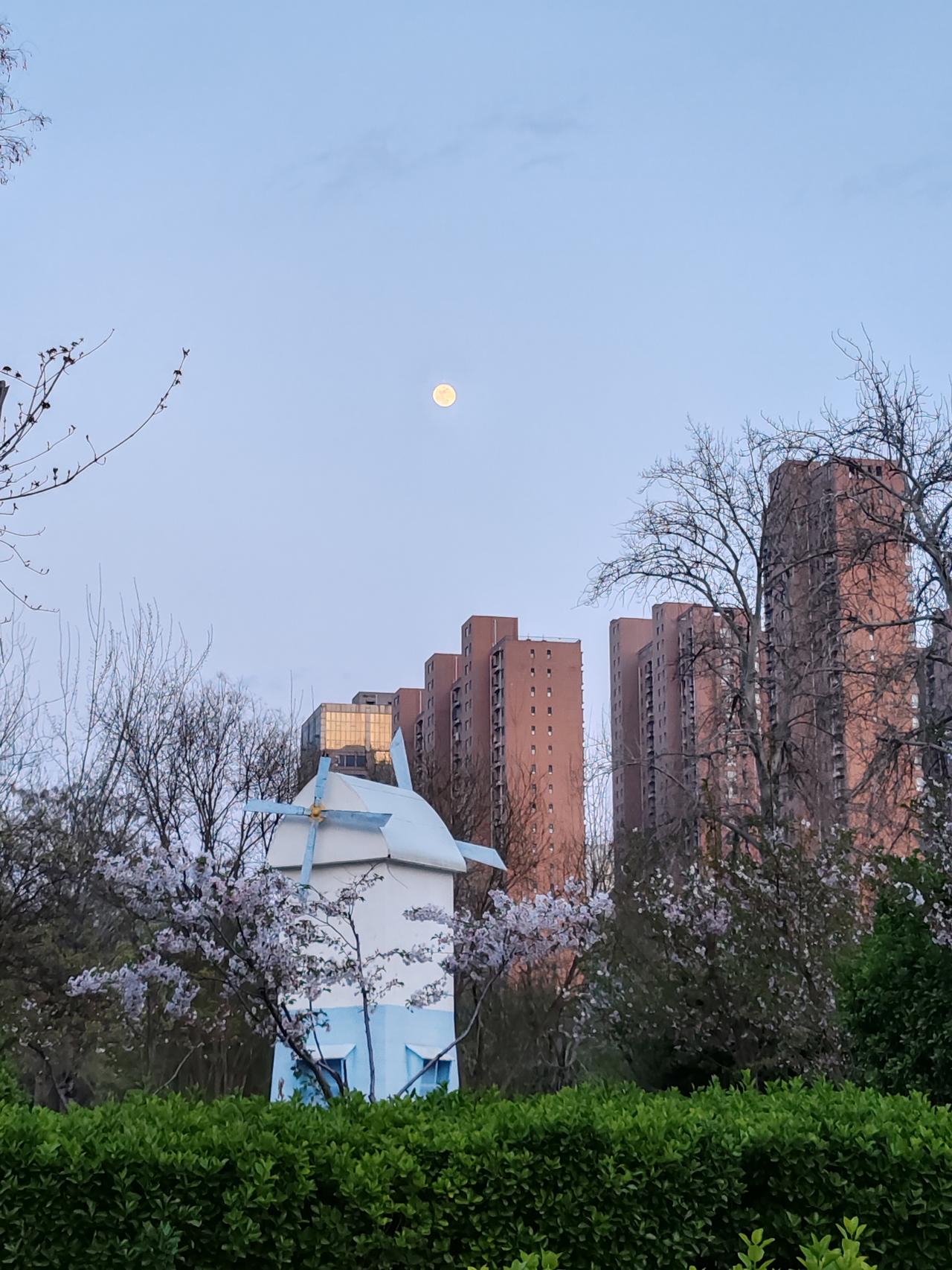 这很象是更年期的表现，如果查无实病，熬过去就好了。让她多问问比她大的女人，或许她