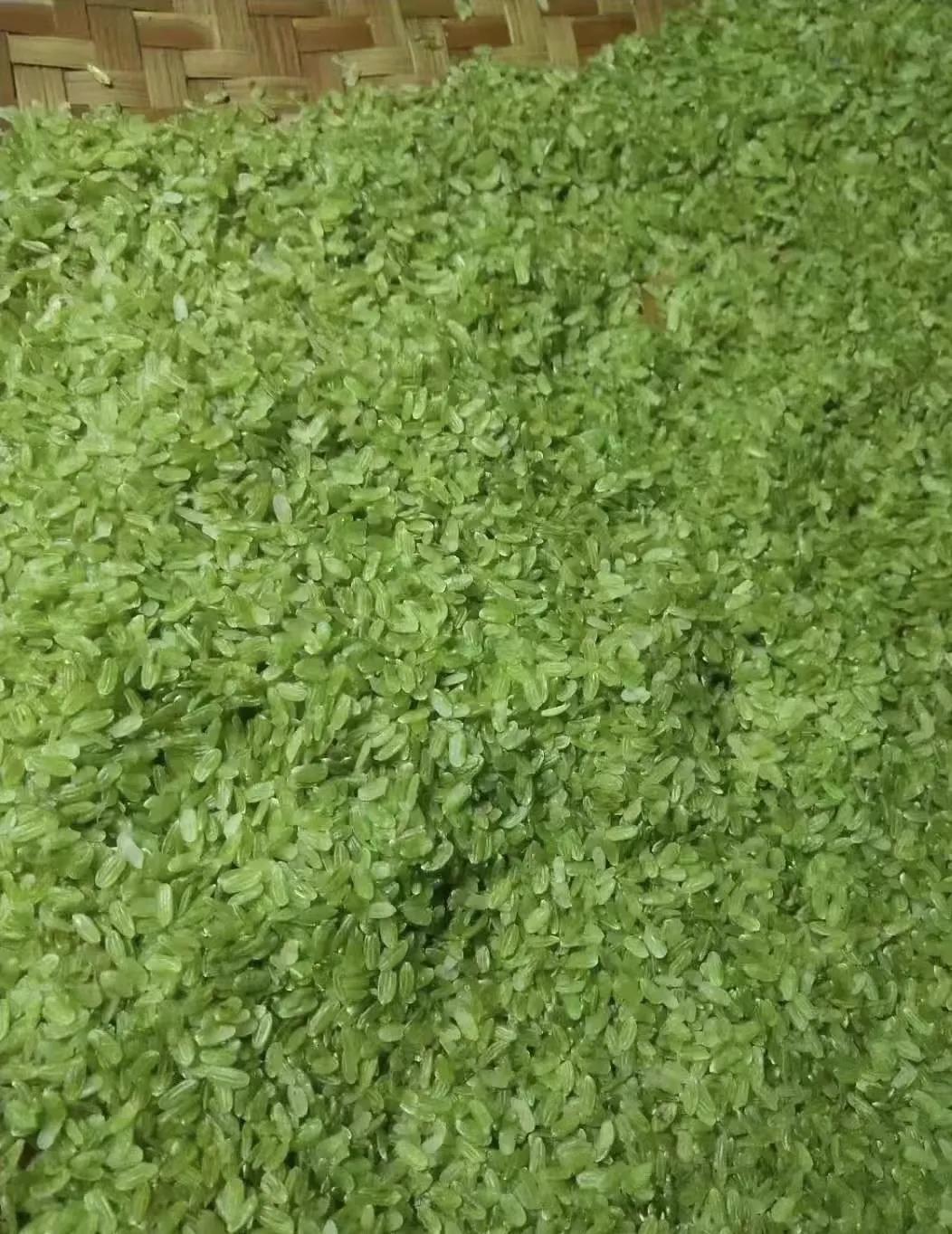 融水侗家吃扁米的由来

        在荣地侗寨，民风民俗一直流传至今，每年丰