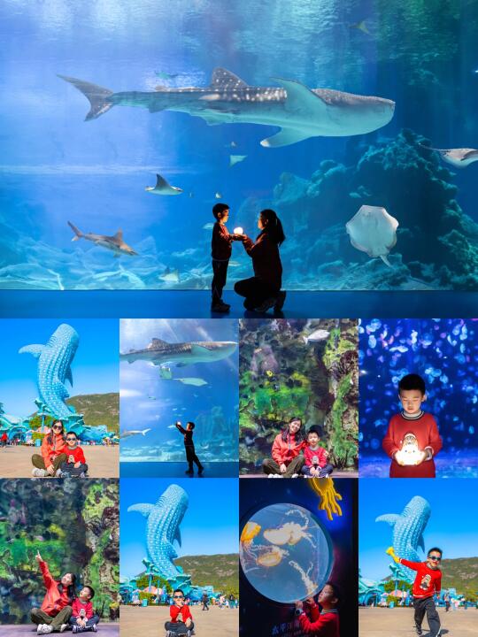 珠海长隆纪念照📷找的跟拍也太好拍了✌️