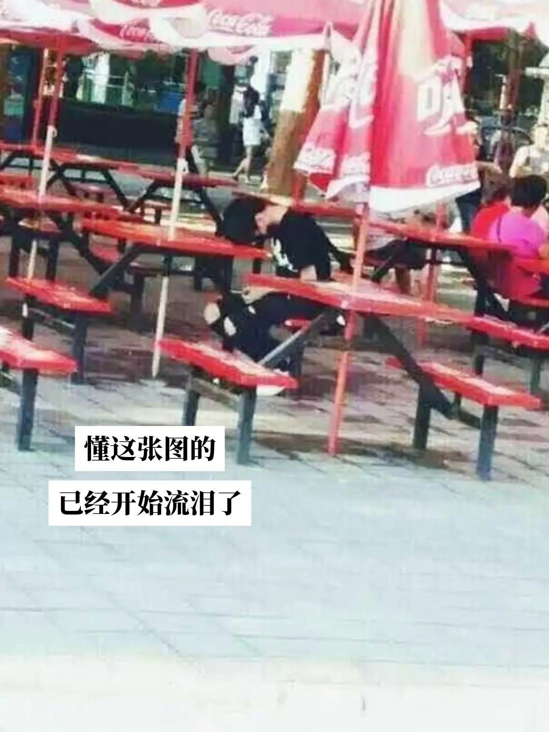 懂的人已经开始流泪了