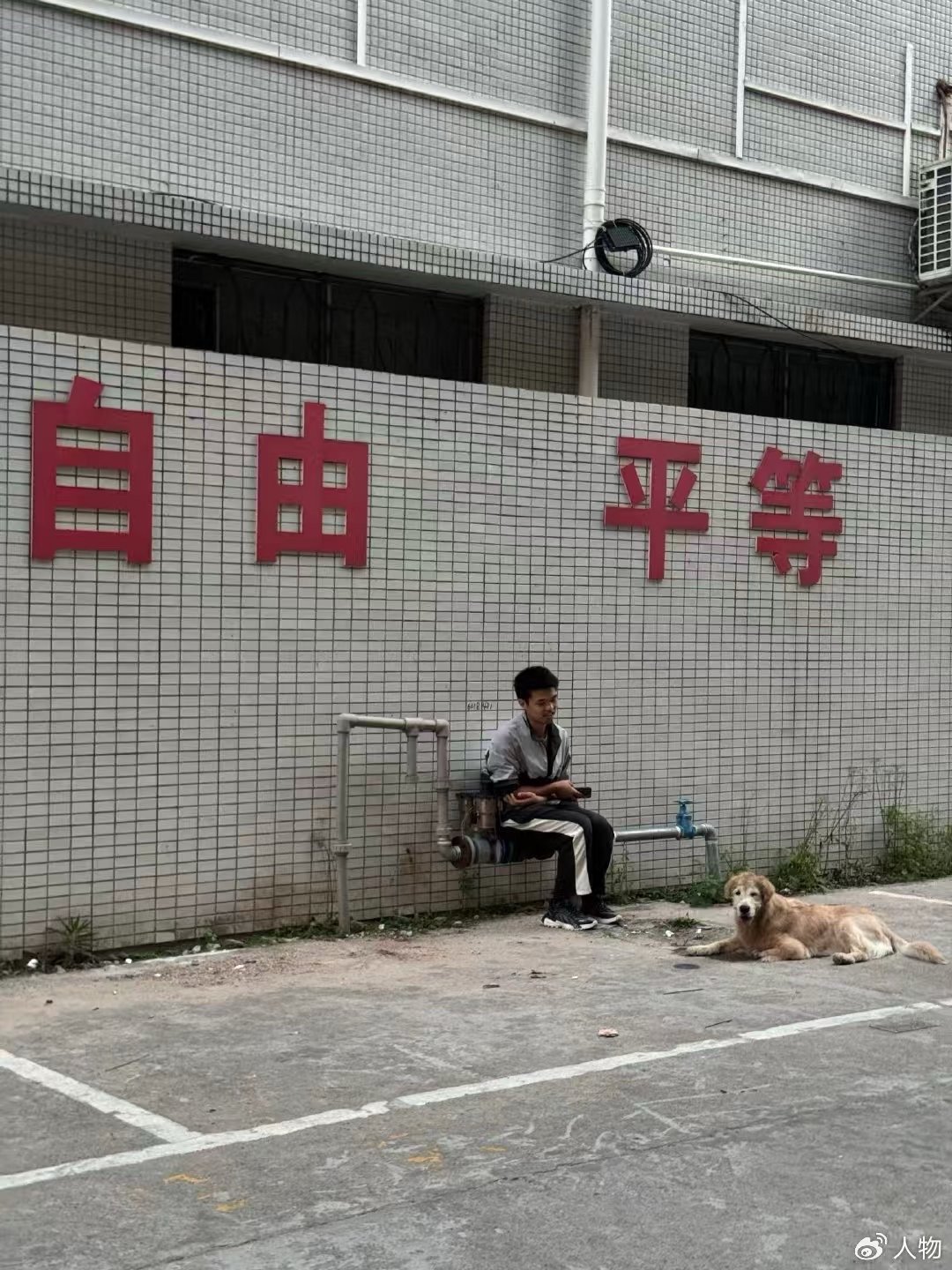 广东的0元宠物救护车广东暖心宠物医生杨航，免费当起毛孩子的生命摆渡人！往返顺德广