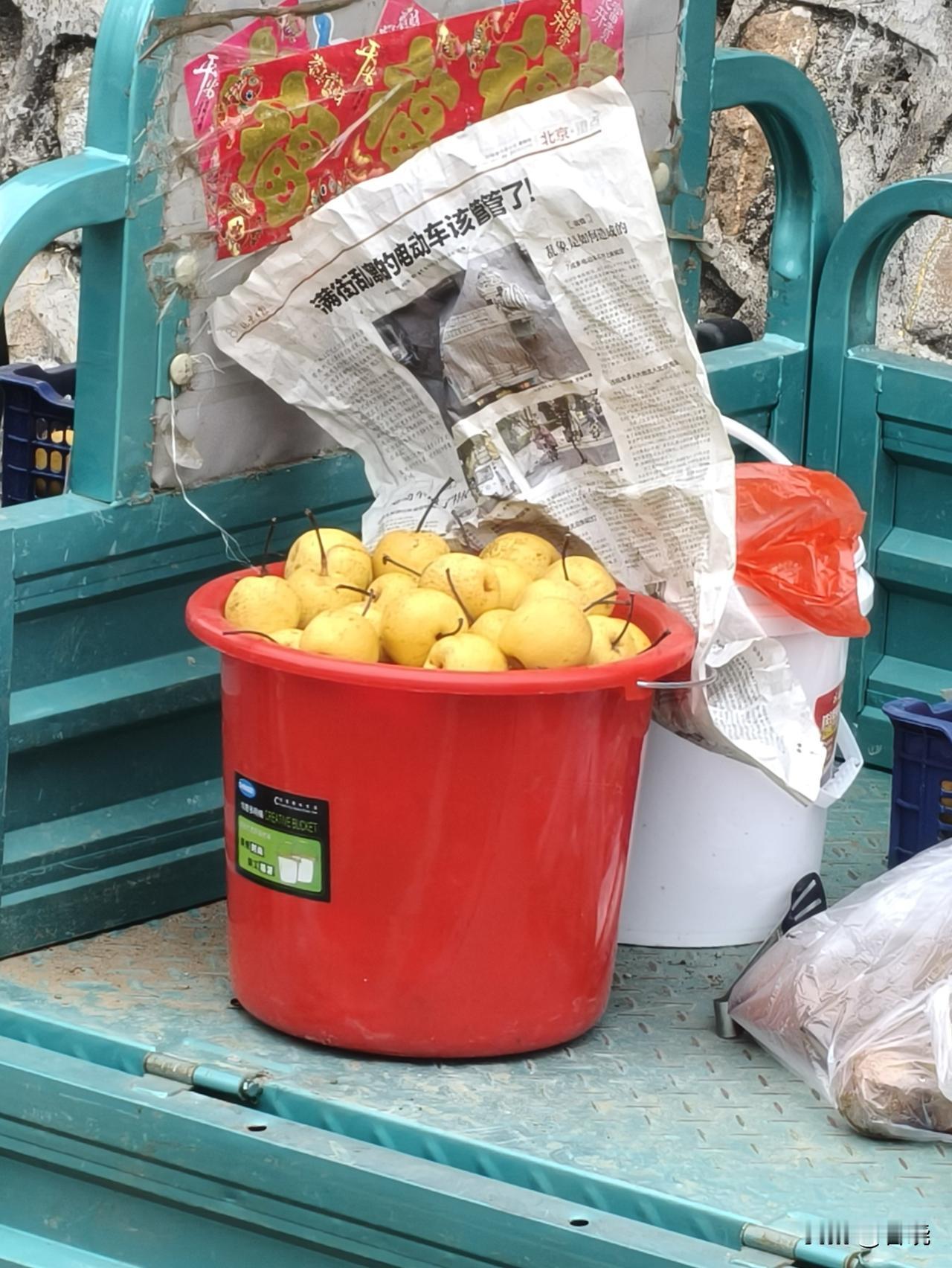 我们一行百十来人乘坐观光车下了山。等大巴车的时候，看到路边有老乡在卖梨。
那些梨