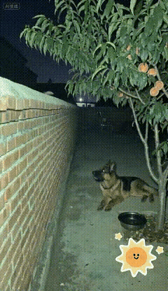 人情世故原来是通用的…🌚