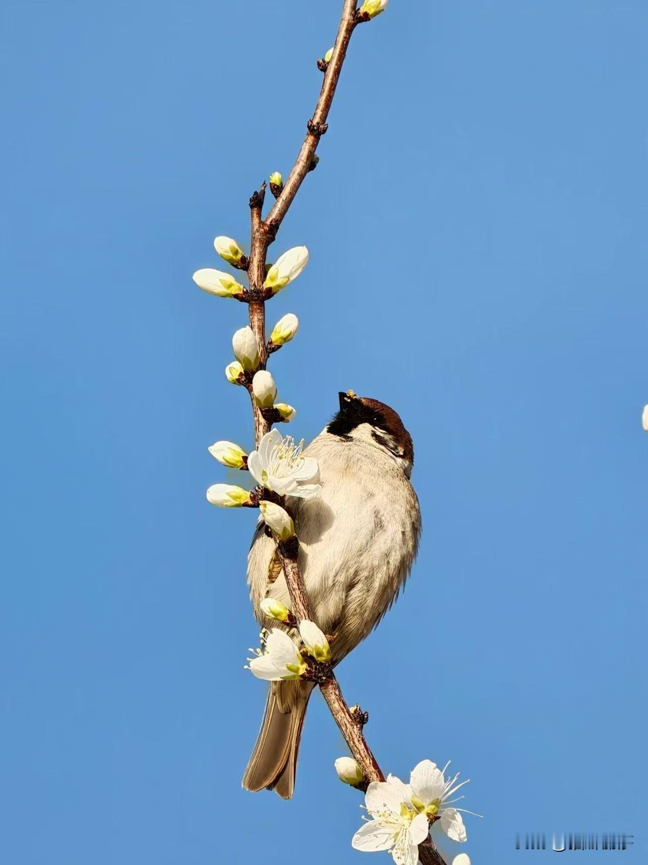 两性之间爱
你的人才会觉得亏欠。
不要跟任何人索取情绪价值
如果一个人想给你什么