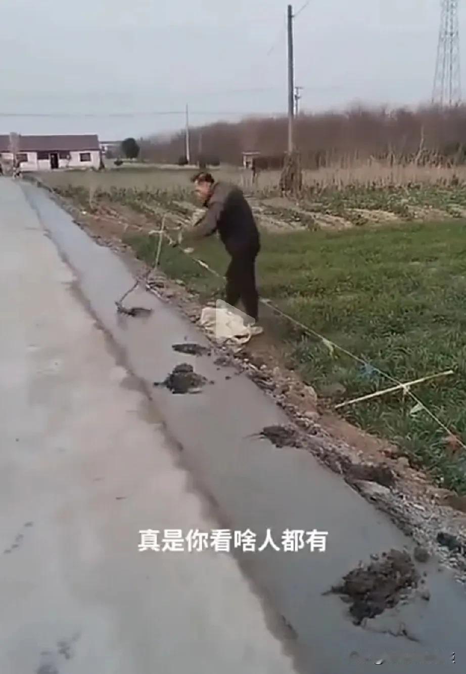 真是啥人都有啊，你看看这个人，因为修路嘛，拓宽路面，他说占用了他家的麦田地头，他