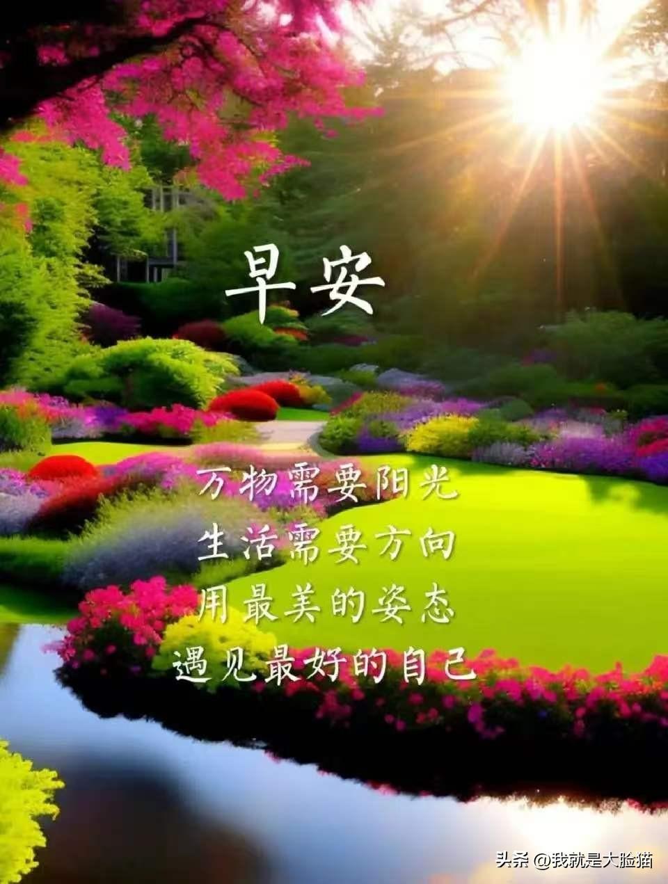 带着微笑🤗开启新的一天💐
天天快乐🤝🌹
大家早上好！🍎🎉
    ?