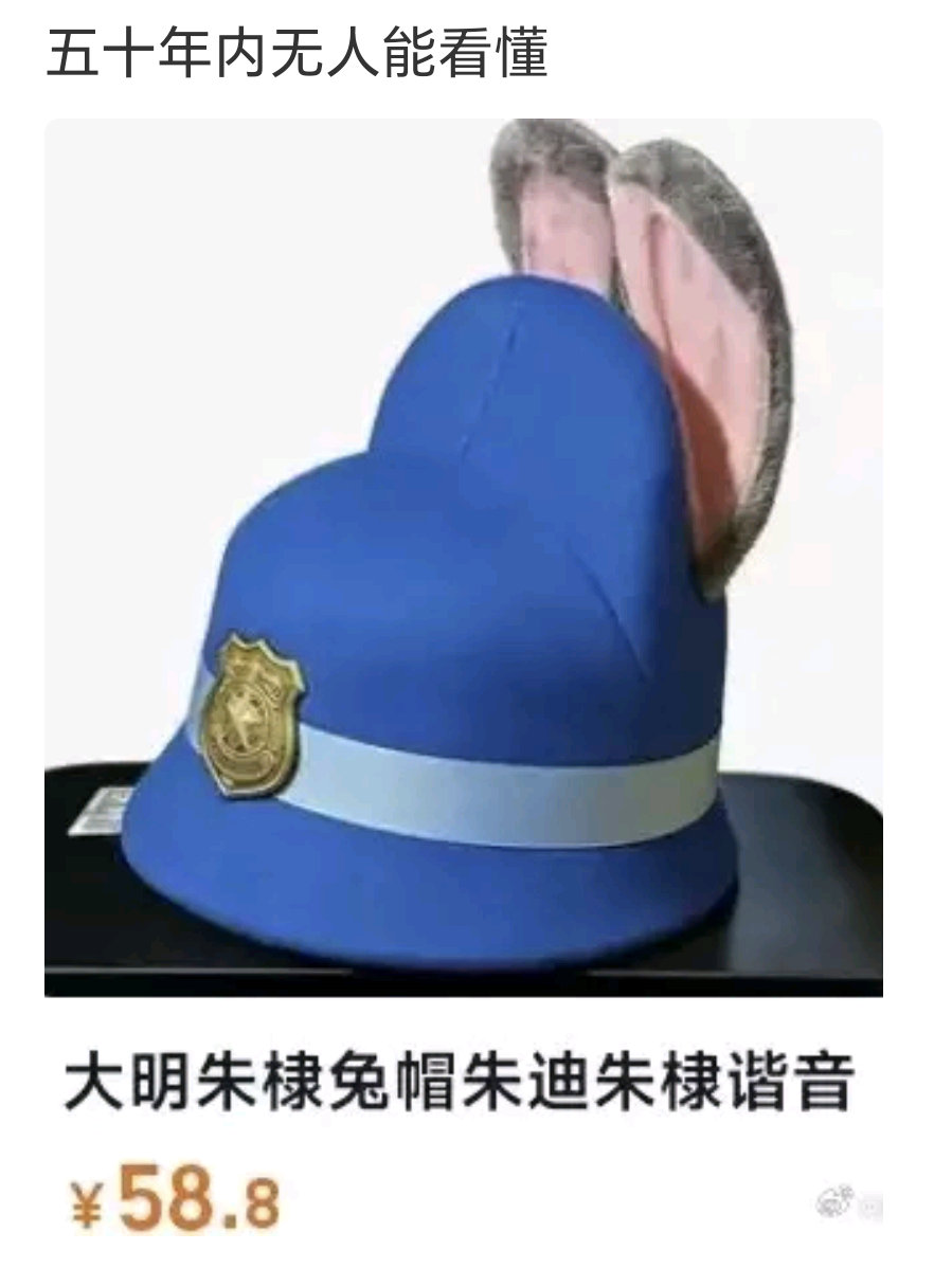 朱棣兔朱棣你被捕了朱迪=朱棣？谐音梗玩的贼溜。那这疯狂动物城是不是明朝遗址啊，哈