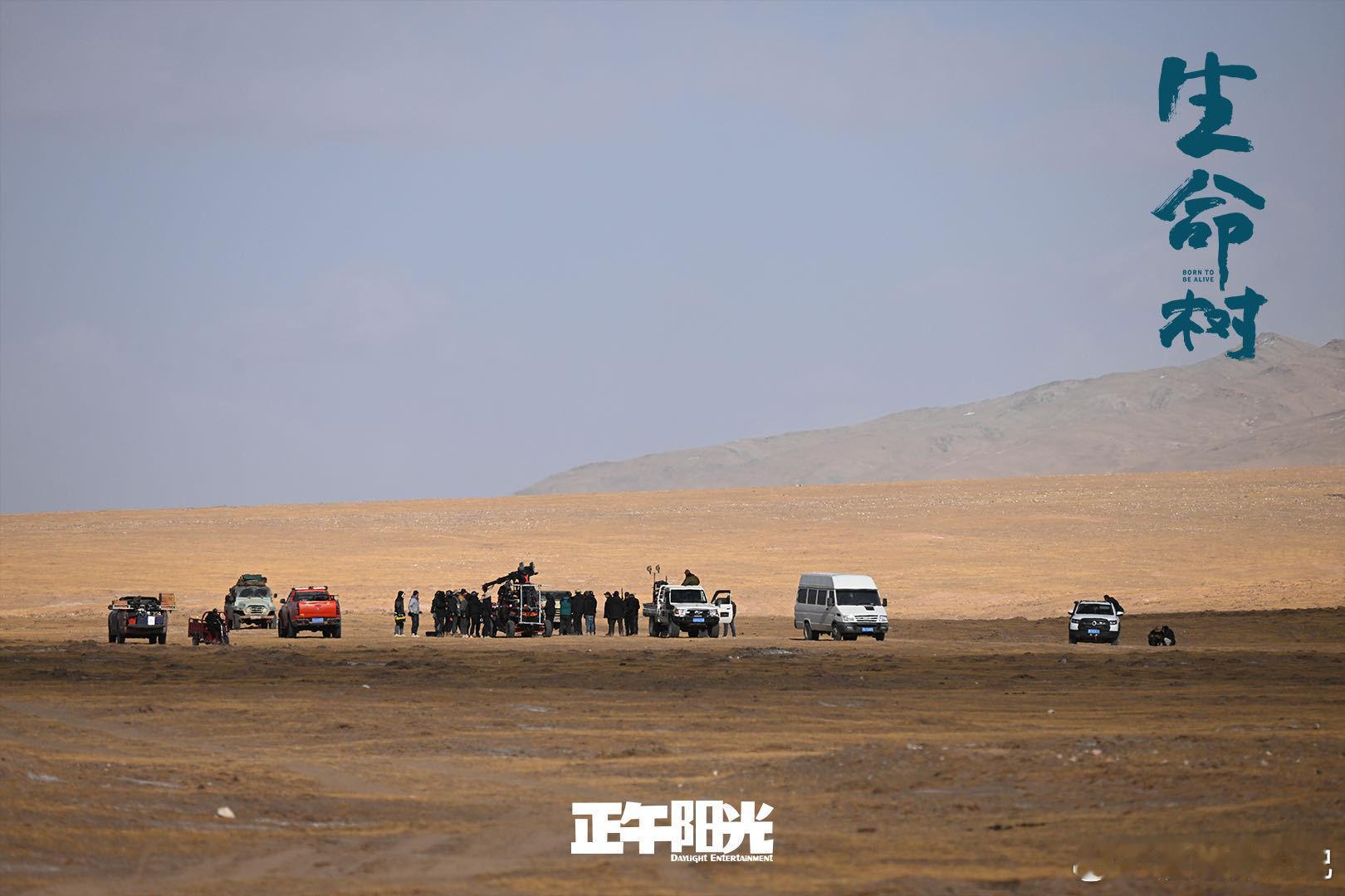 胡歌李光洁新剧难哄电视剧生命树 多杰 × 林培生，主打一个 “无效沟通，有效吵架