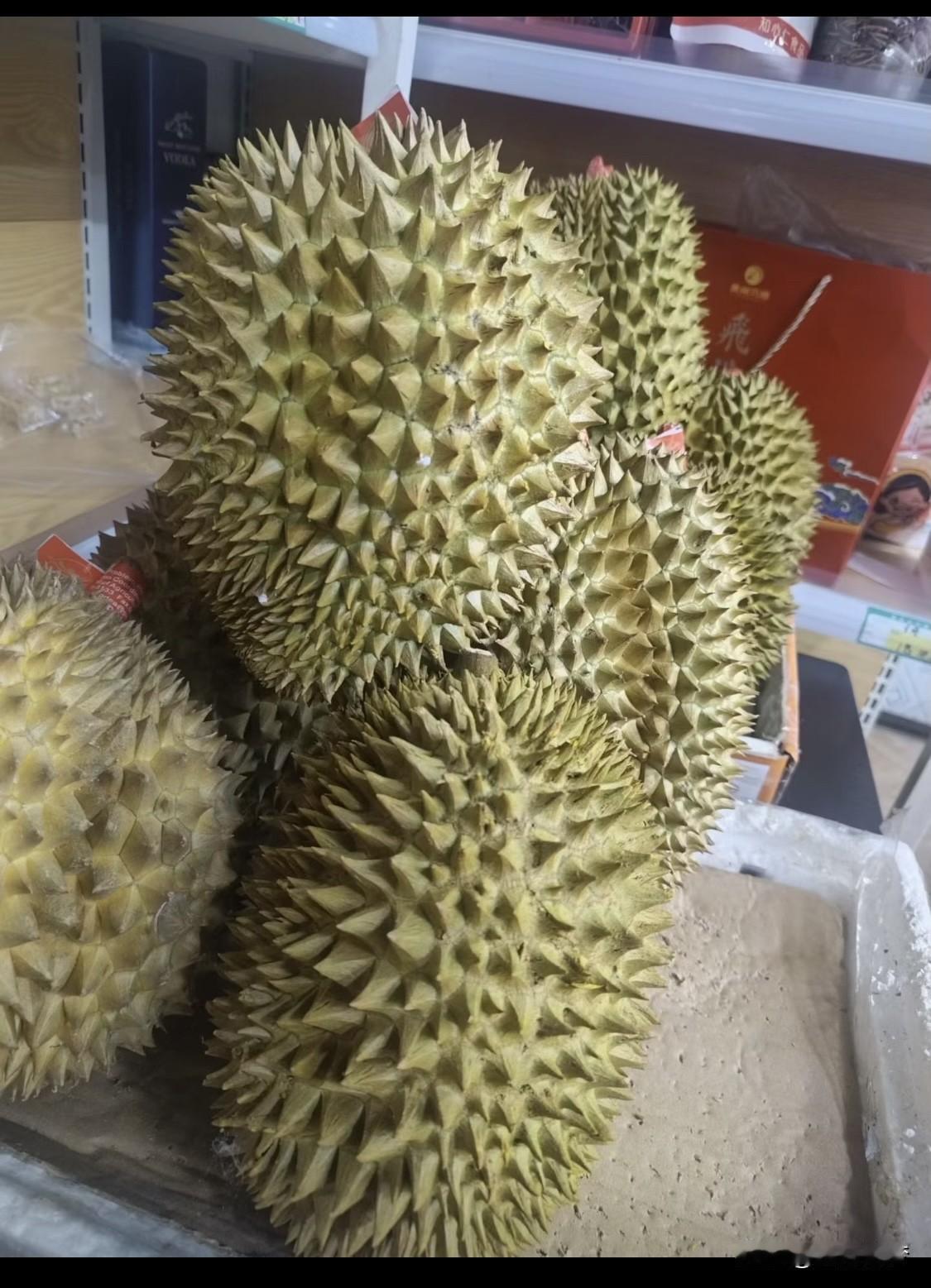 榴莲界两大选手金枕和干尧，谁更胜一筹呢？
金枕是大众宠儿，果型椭圆饱满、刺大稀疏