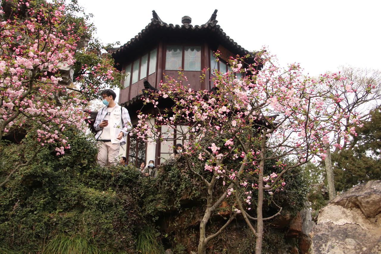 #分享一张随手拍的花。#
这是我的单反相机摄影作品：拙政园的小姐绣楼。
时值春天