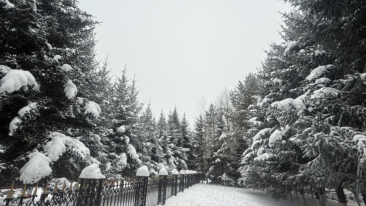 漠河的冬天没有缤纷的色彩
白茫茫望不到边的雪
将漠河装点的异常圣洁
在漠河白雪是