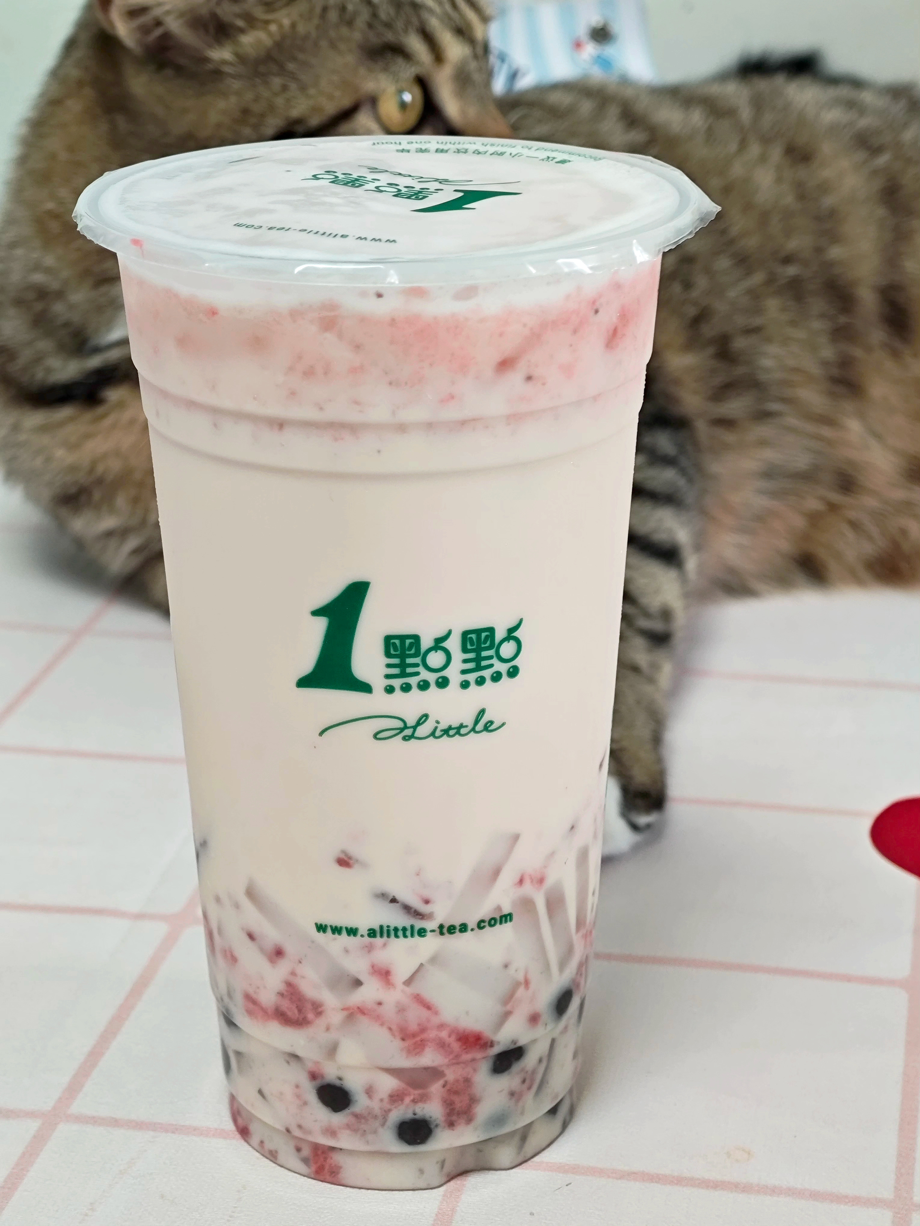 立秋休息美滋滋