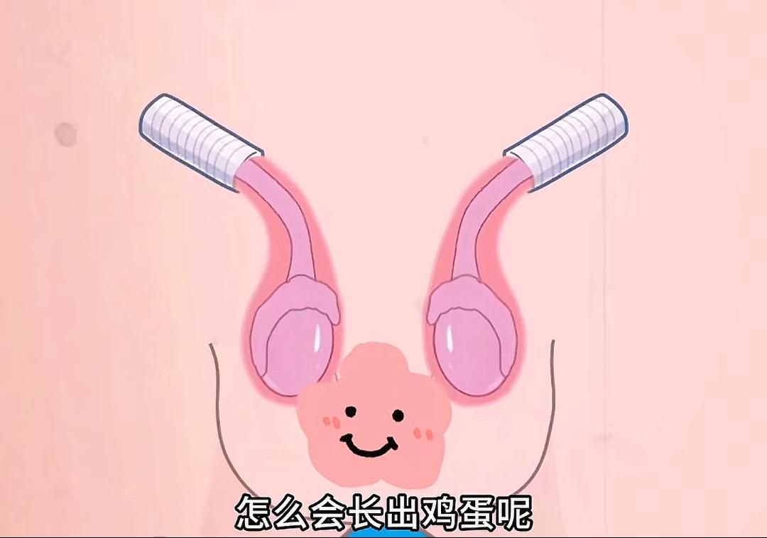 【惊爆！13岁“女孩”体内竟藏“男儿身” 染色体暴露后，父母崩溃：养了十几年的女