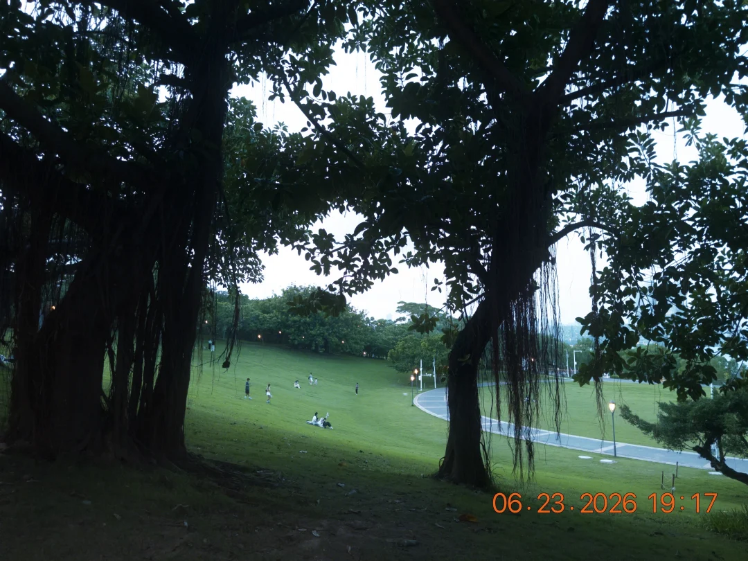 雨后晴天人是草地的蘑菇