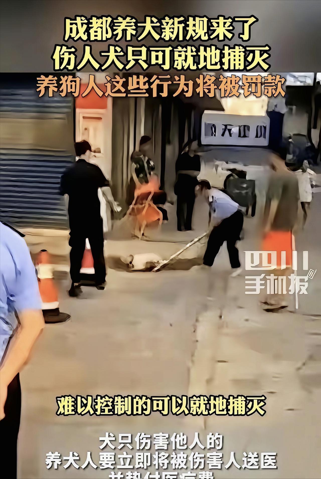 成都养犬新规：狗咬了人，甭管是不是对方先招惹的，你必须第一时间掏钱，把医药费全垫