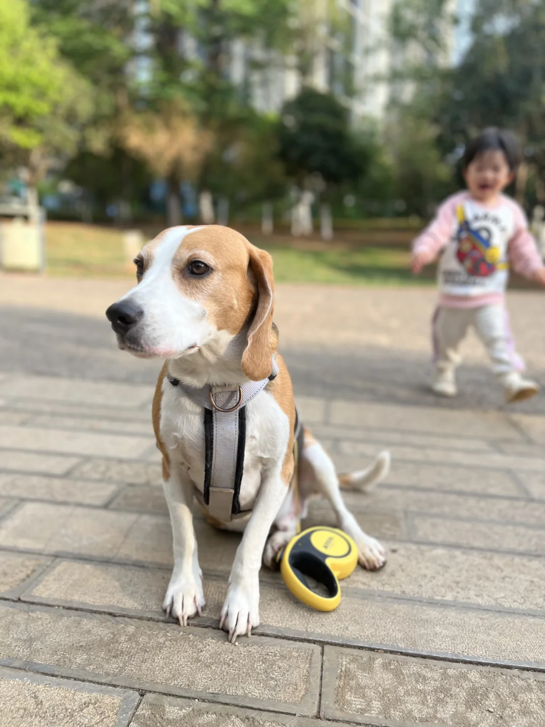 恪尽职守，守护小主