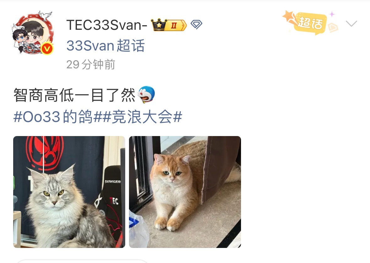 33以貌取猫呆：纯诋毁！！ 纯诋毁！！acg优创官2025pel