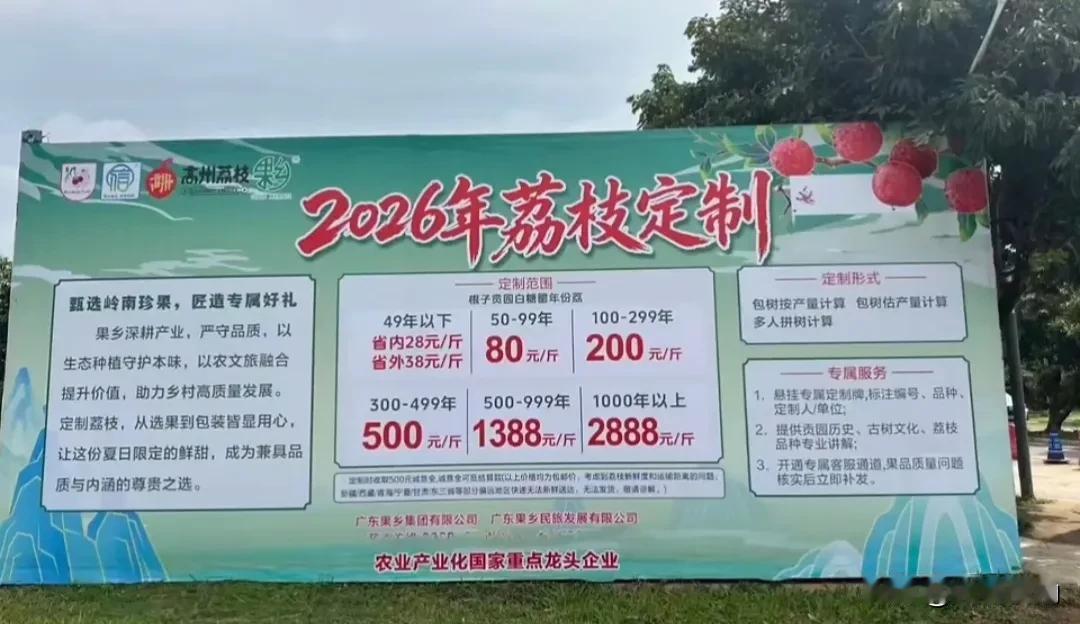 2026年高州荔枝定制现已开启预定，高州作为荔枝的故乡，以其独特的地理环境和气候