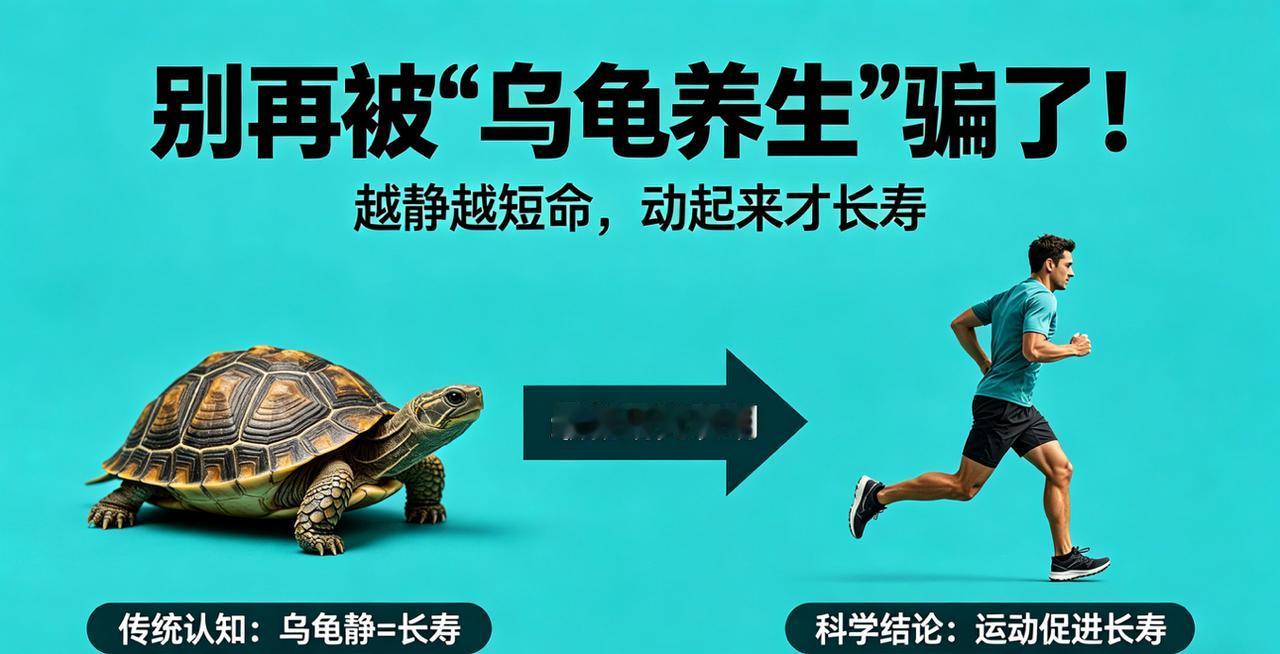 别再被“乌龟养生”骗了！越静越短命，动起来才长寿

总有人在评论区跟我抬杠：
乌