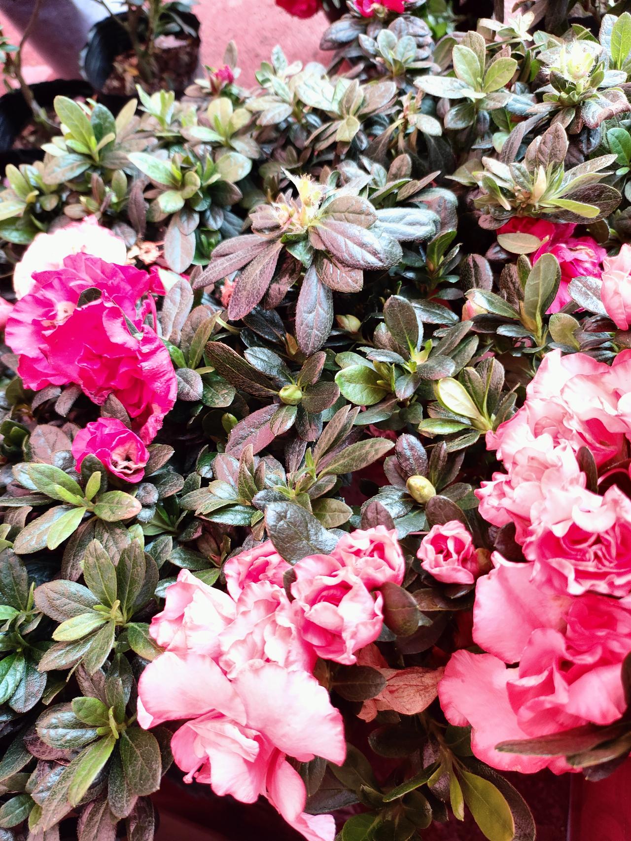 往后余生，不讨好冷漠，不辜负热情，只爱对的人
 
人这一辈子，走过半生才慢慢明白