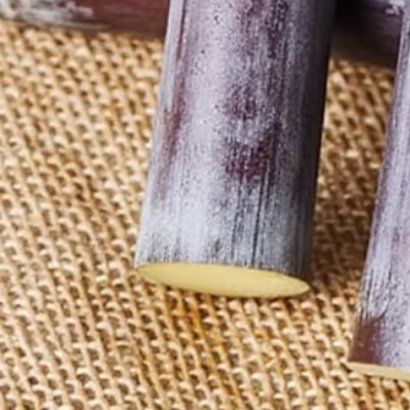 0000甘蔗的种植方法甘蔗适合温暖光照充足的环境，选用疏松肥沃、排水性好的沙壤土