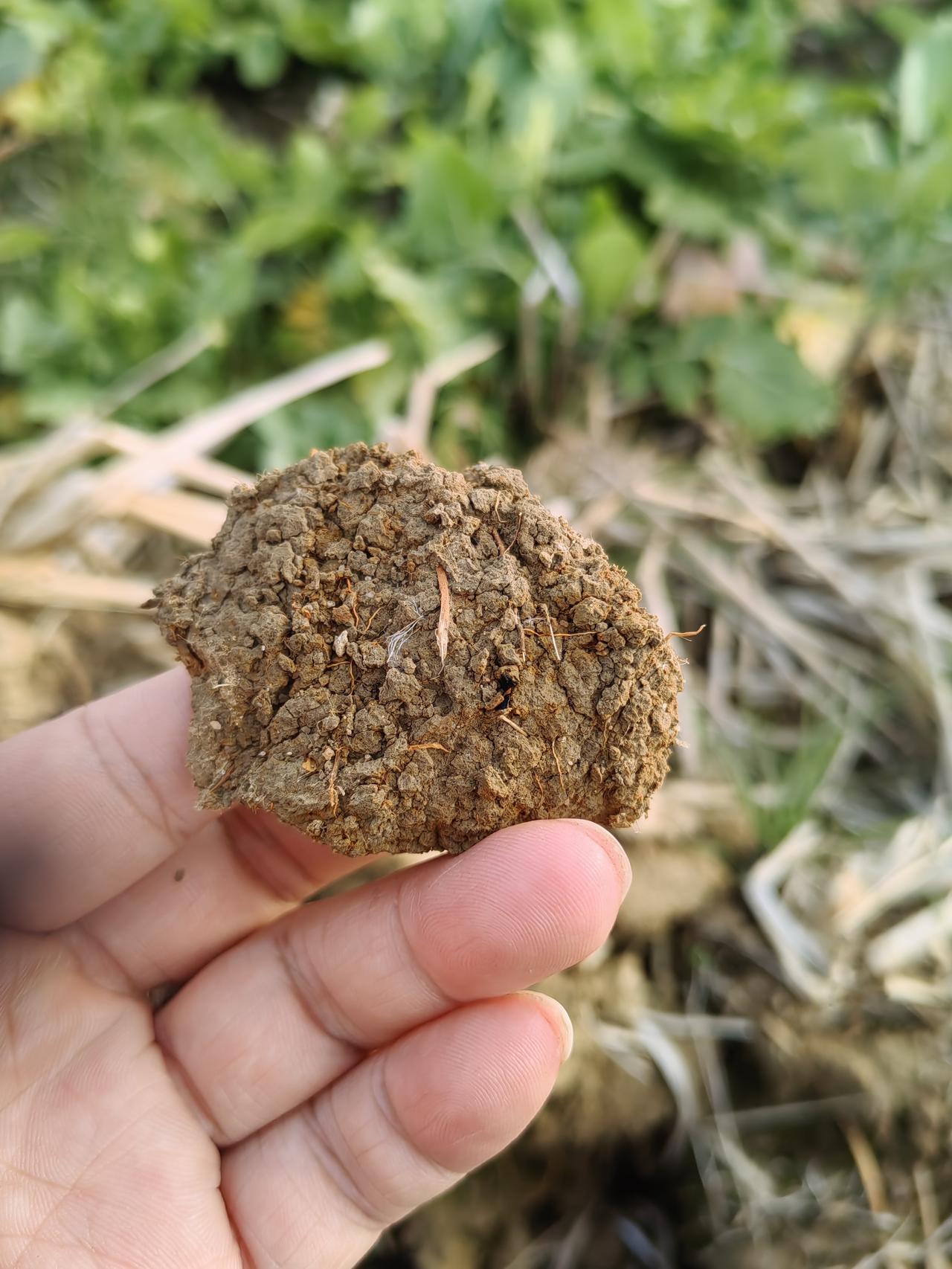 在观三家分晋，智瑶也是狂妄之大，刚愎自用，以为自己是天下第一谁都不怕，不行仁政最