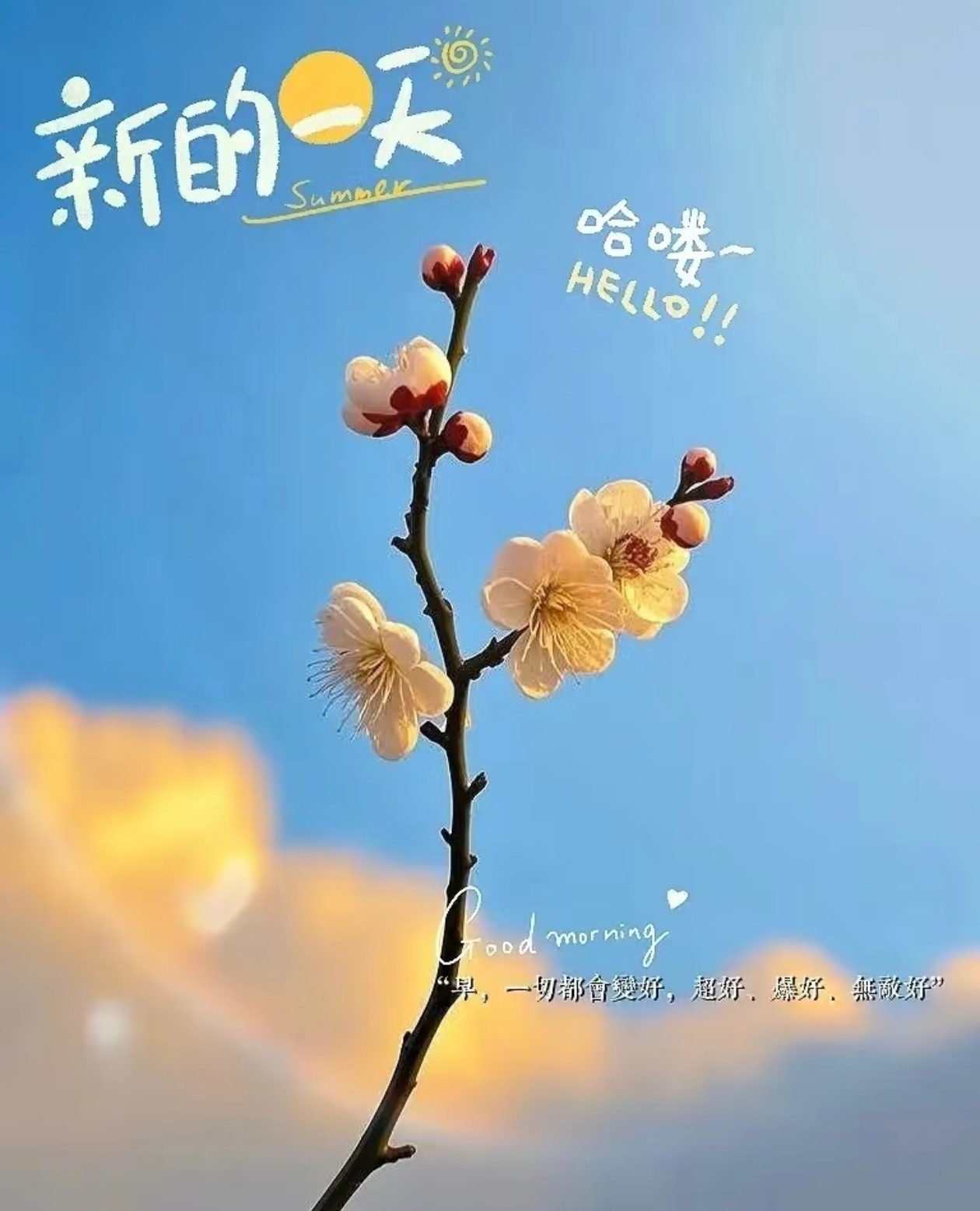 哈喽早安～又是新的一天开始，吃好早饭，开启元气满满的一天！ 