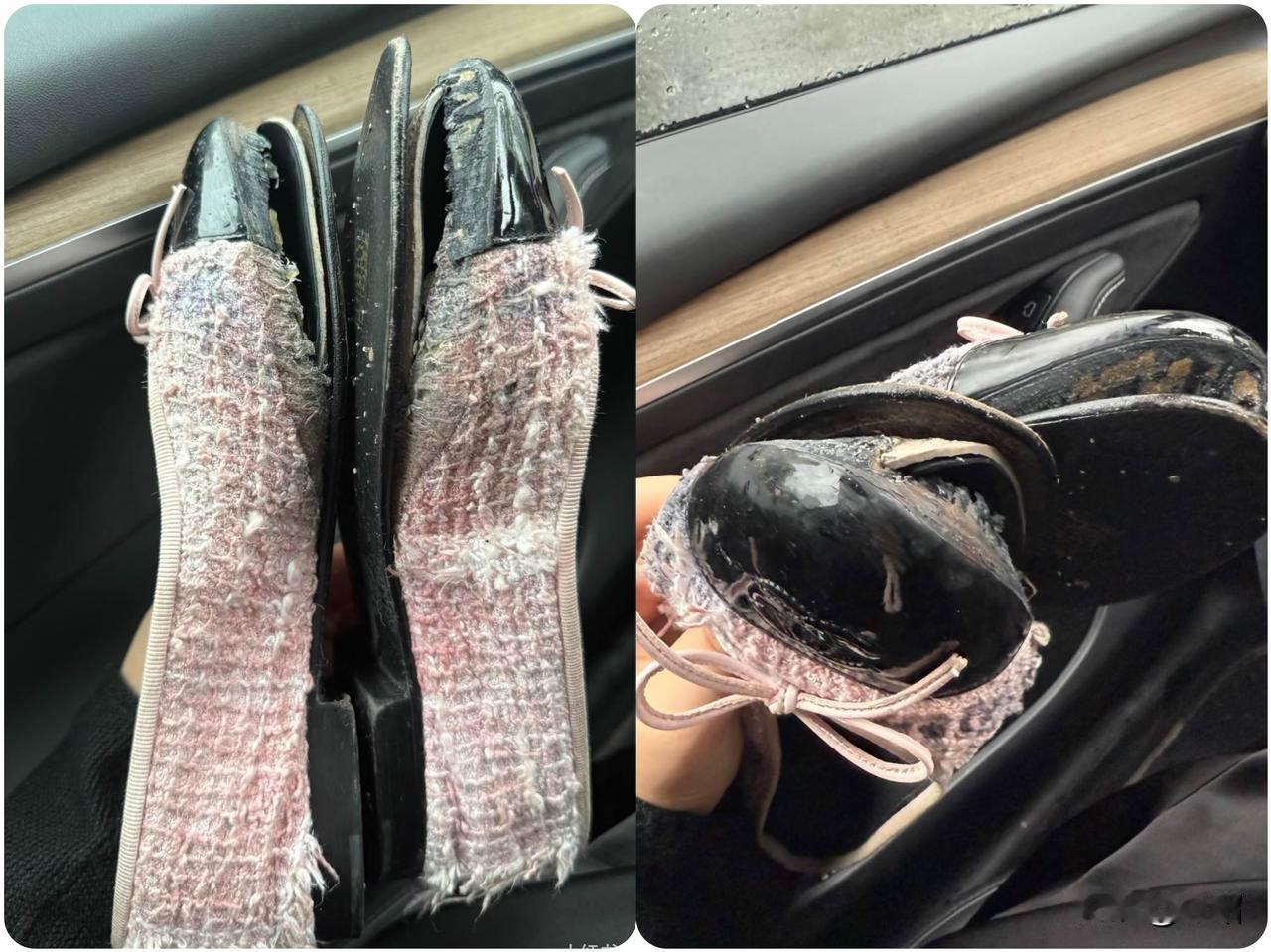 我真是服了~
香奈儿你真的让我手足无措颜面尽失了
下个雨给你下绽放了