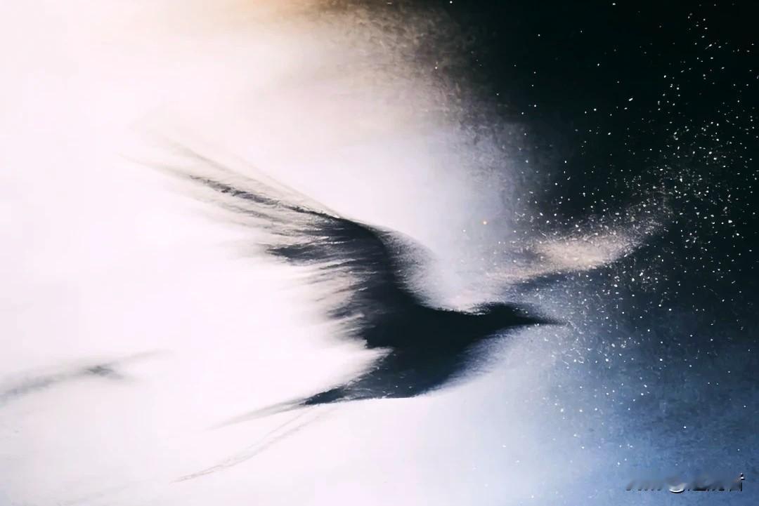 我是枯叶也是腾空的翅膀，
是沙砾也是迷眼的远方，
是被吹散的蒲公英誓言，
是被卷