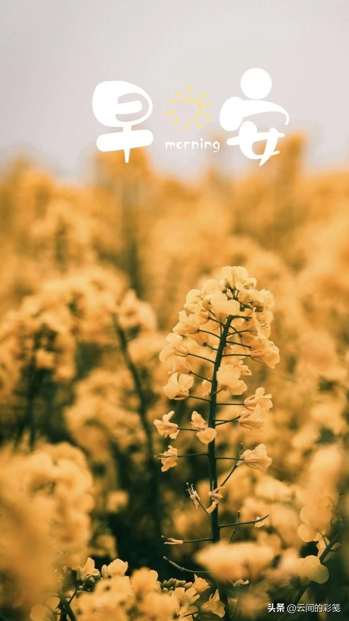 从今天开始，不论发生什么事，每天微笑吧，人生永远没有太晚的开始，世上除了生死，都