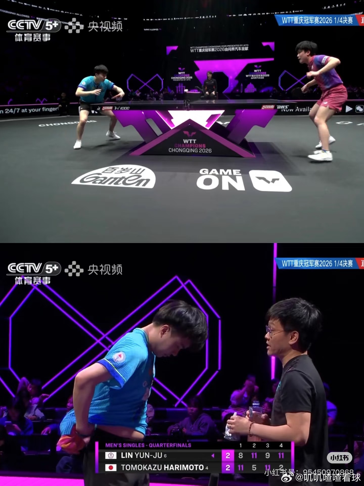 林昀儒大比分2比3张本！台林加油啊！翻盘打败他，你可以的！让他狼嚎的太烦人了！ 